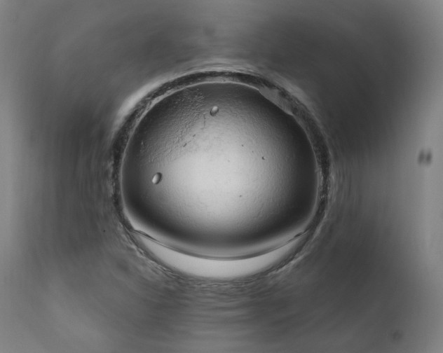 X0000111801310200907231201