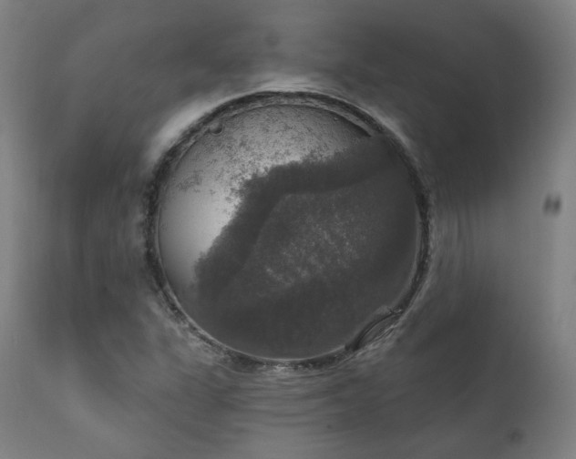 X0000111801311200907231201
