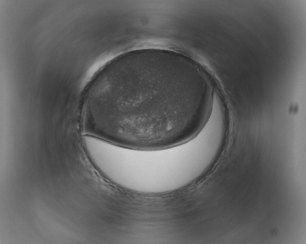 X0000111801312200907231201