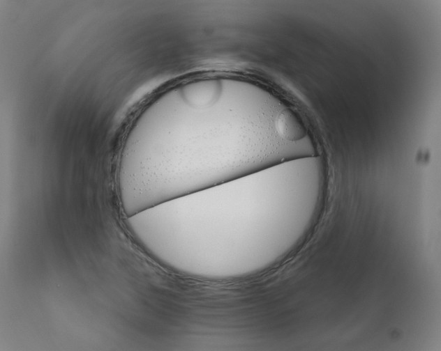 X0000111801315200907231201