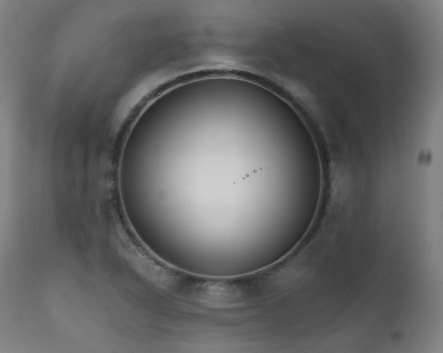 X0000111801318200907231201