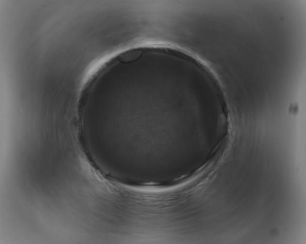 X0000111801319200907231201