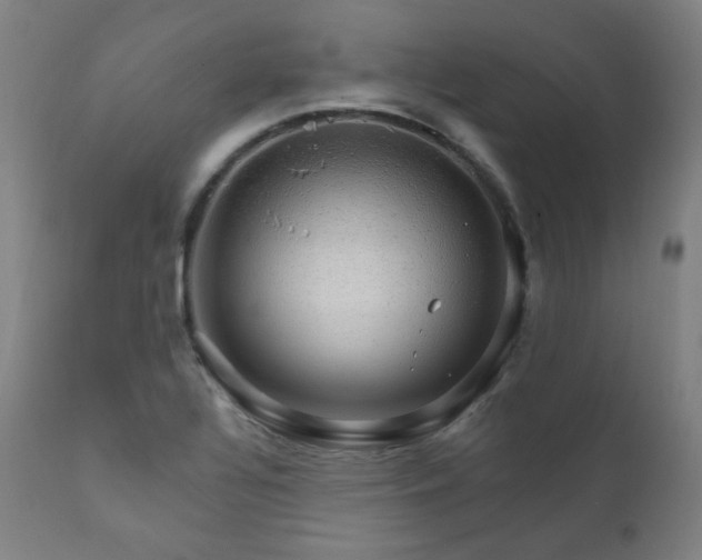 X0000111801320200907231201