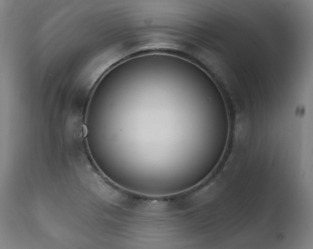 X0000111801321200907231201