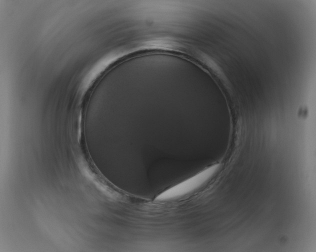 X0000111801323200907231201