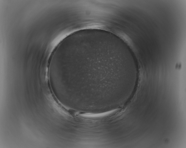 X0000111801324200907231201