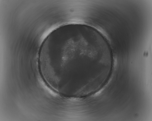X0000111801325200907231201