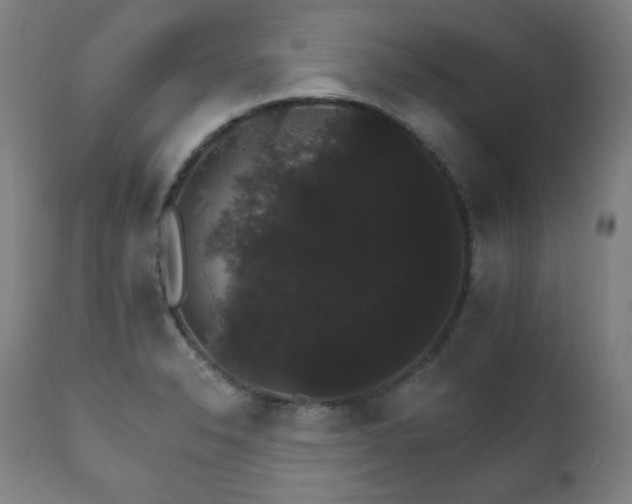 X0000111801326200907231201