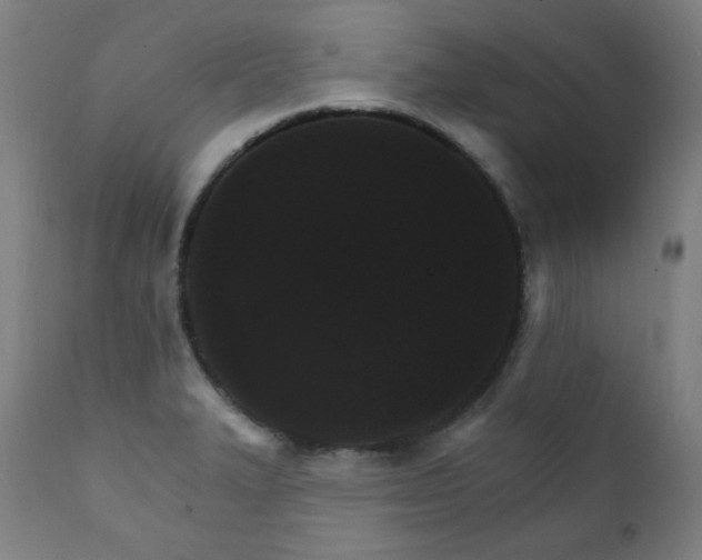 X0000111801327200907231201