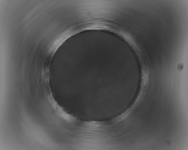 X0000111801329200907231201