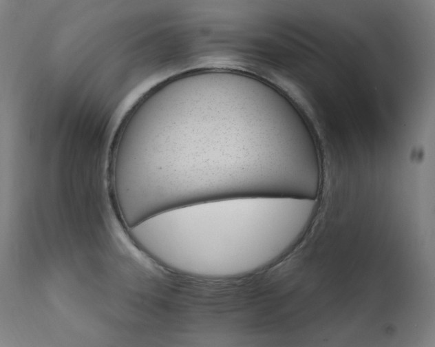 X0000111801331200907231201