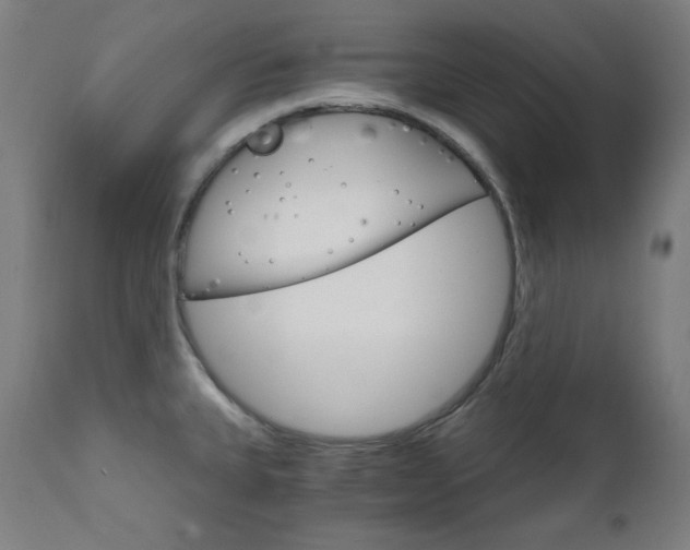 X0000111801335200907231201