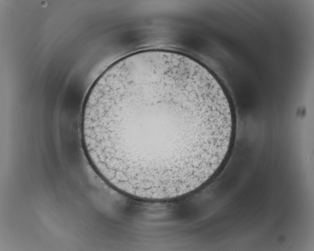 X0000111801338200907231201