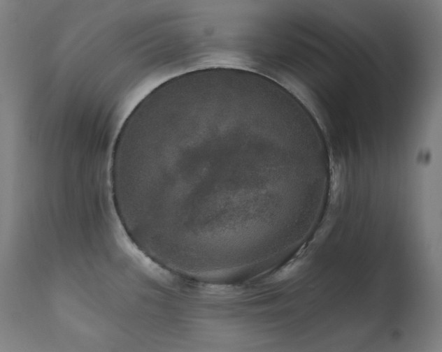X0000111801339200907231201