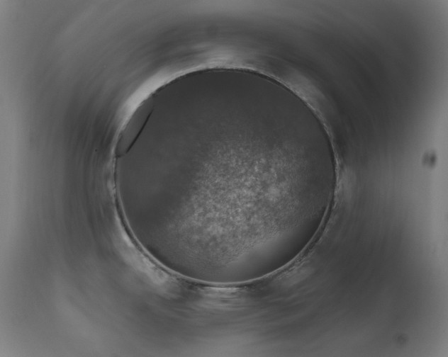 X0000111801342200907231201