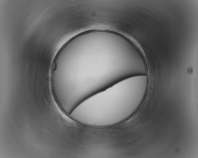 X0000111801343200907231201