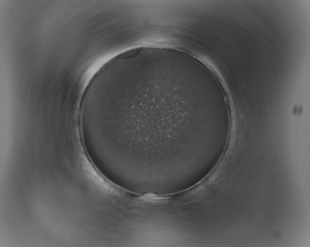 X0000111801344200907231201