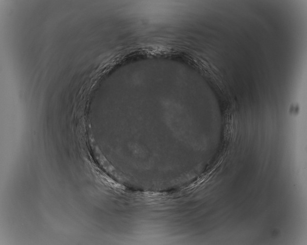 X0000111801345200907231200