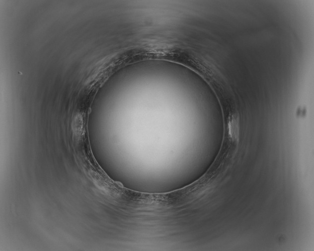 X0000111801347200907231200