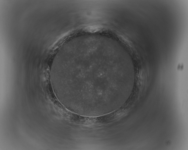 X0000111801349200907231200