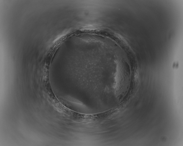 X0000111801350200907231200