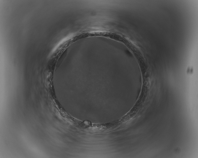 X0000111801351200907231200