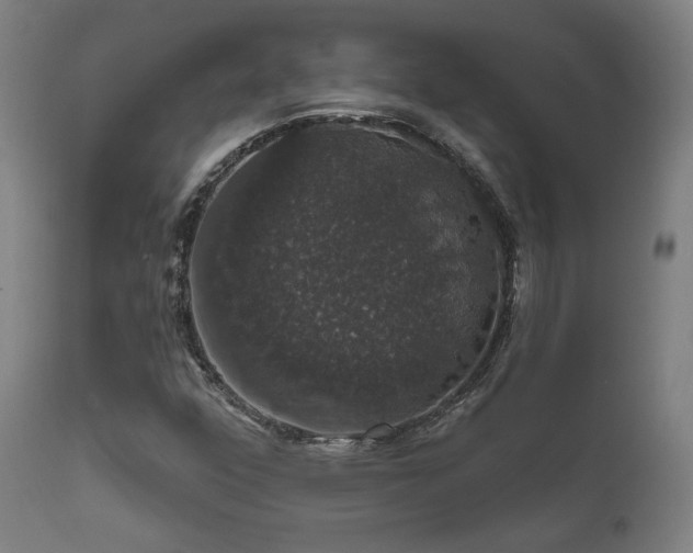 X0000111801352200907231200