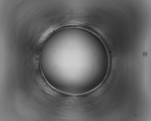 X0000111801355200907231200