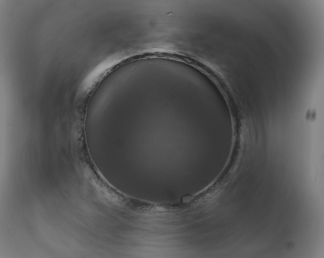 X0000111801359200907231200