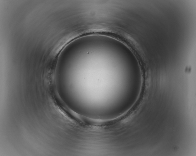 X0000111801361200907231200
