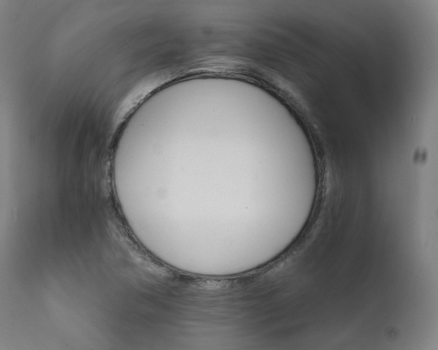 X0000111801362200907231200