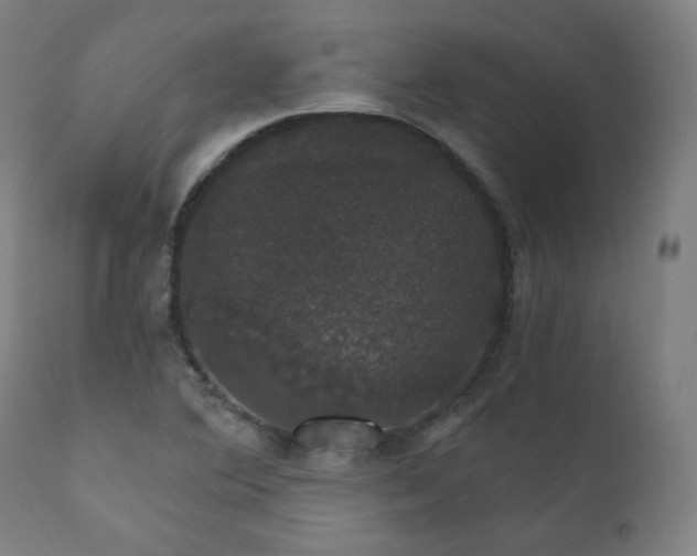 X0000111801364200907231200