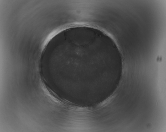 X0000111801365200907231200