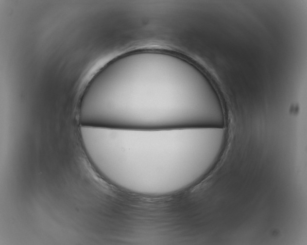 X0000111801367200907231200