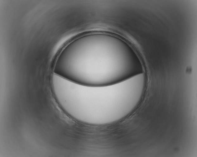 X0000111801368200907231200