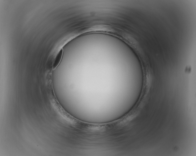 X0000111801369200907231200