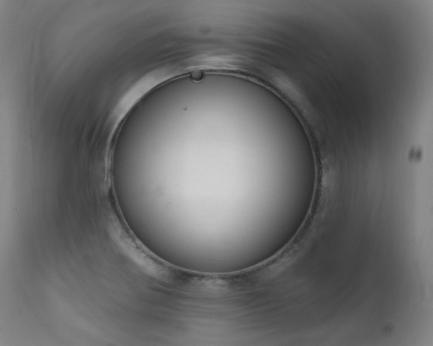 X0000111801370200907231200