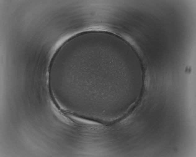 X0000111801372200907231200