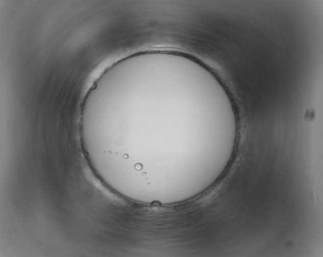 X0000111801374200907231200