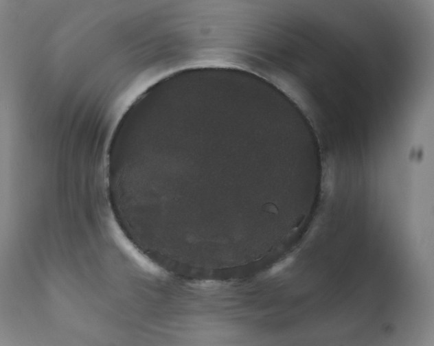X0000111801380200907231200