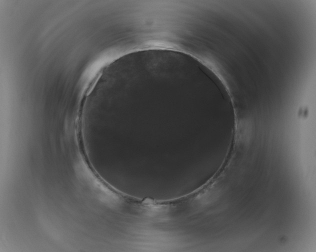 X0000111801381200907231200