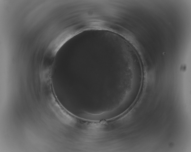 X0000111801385200907231200