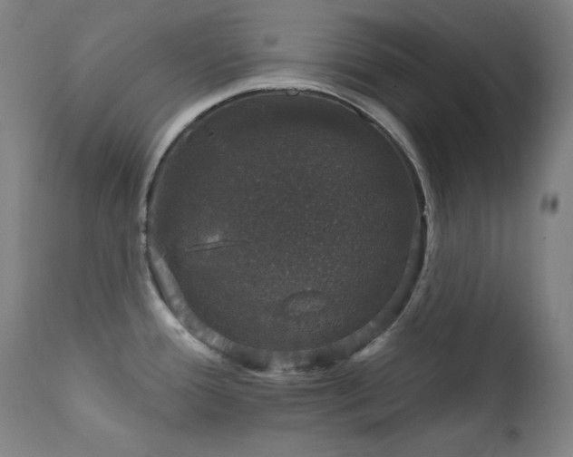 X0000111801388200907231200