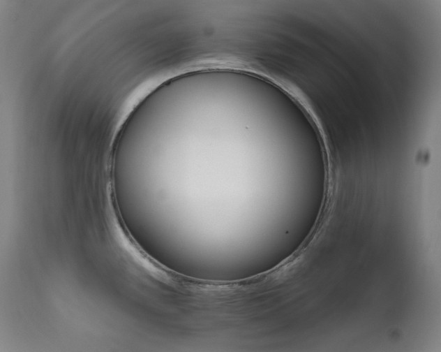 X0000111801389200907231200