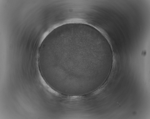 X0000111801390200907231200