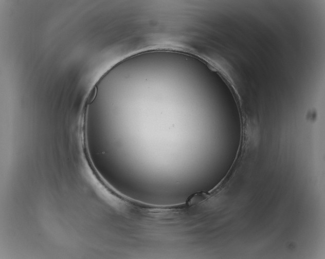 X0000111801391200907231200
