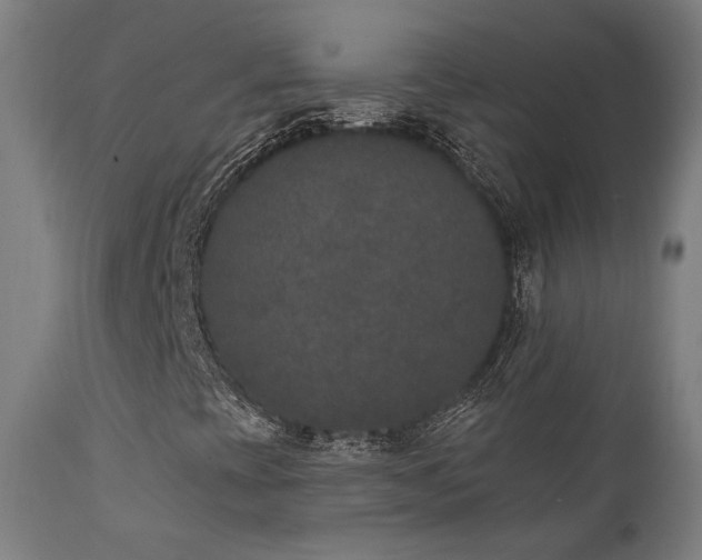 X0000111801393200907231159