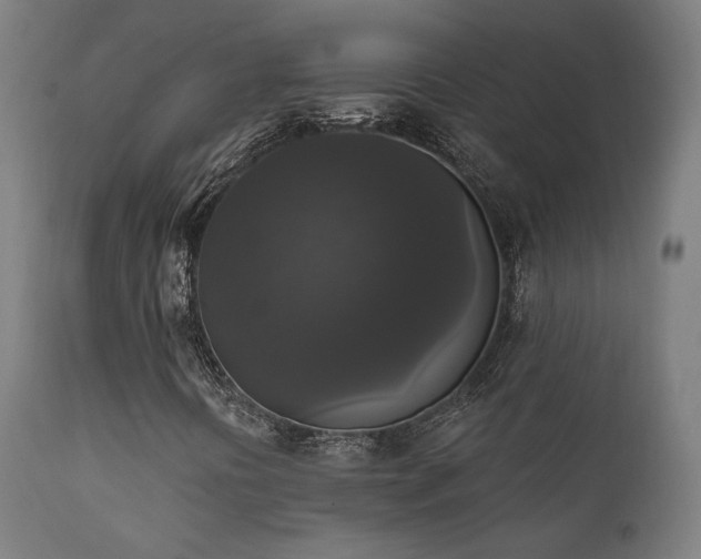 X0000111801394200907231159