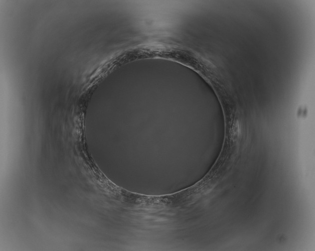X0000111801397200907231159