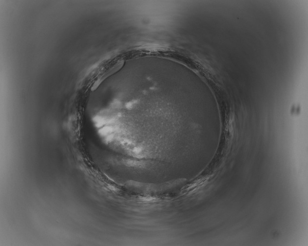 X0000111801398200907231159